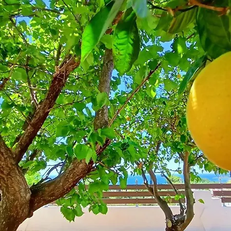 Villa Moriana Stone Villa, Panoramic View And Garden